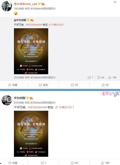 元芳爆料视频大全最新版  第1张